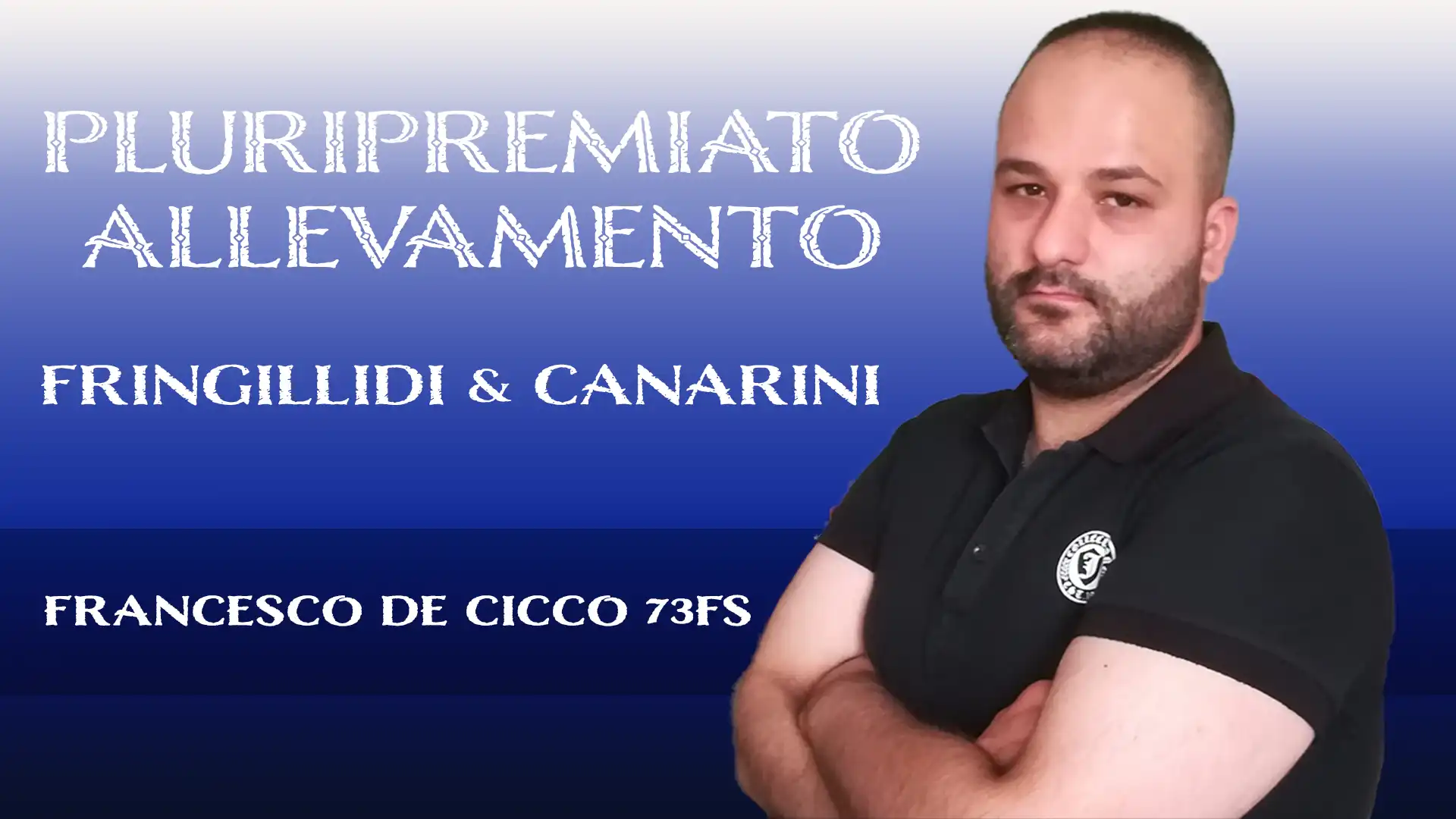 Allevamento Ornitologico Francesco De Cicco 73FS - Mendicino (Italia) Allevamento Ornitologico Francesco De Cicco 73FS - Mendicino (Italia)