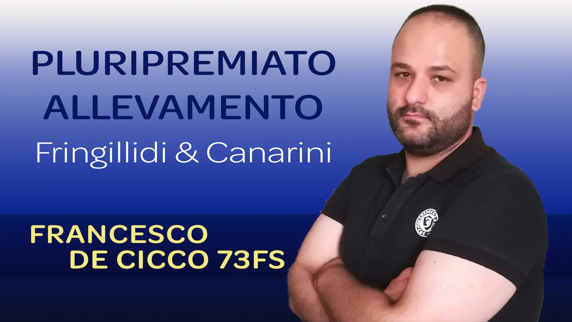 Allevamento Ornitologico Francesco De Cicco 73FS - Mendicino (Italia) Allevamento Ornitologico Francesco De Cicco 73FS - Mendicino (Italia)