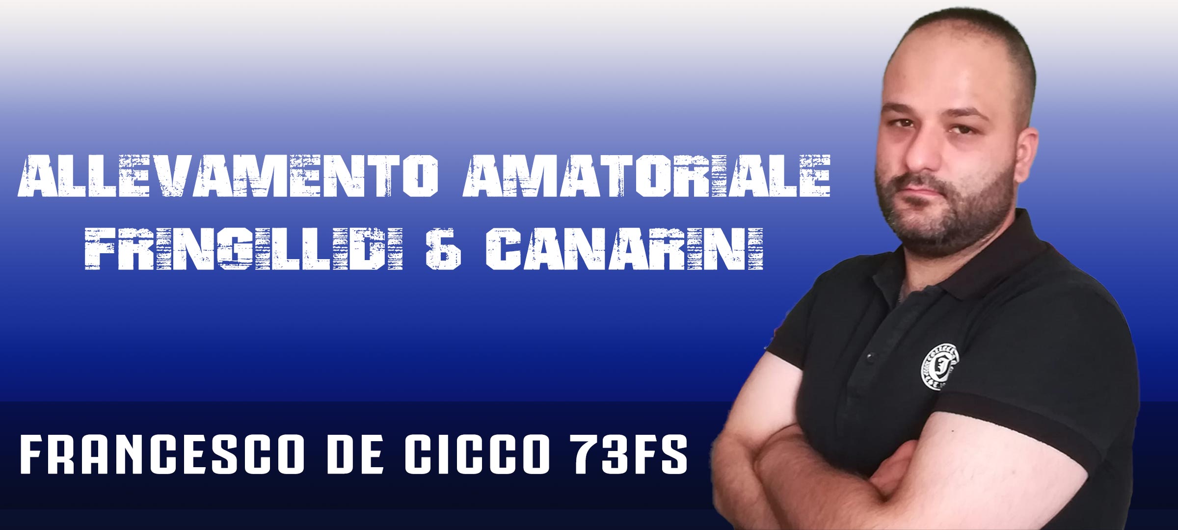 Allevamento Ornitologico Francesco De Cicco 73FS - Mendicino (Italia) Allevamento Ornitologico Francesco De Cicco 73FS - Mendicino (Italia)