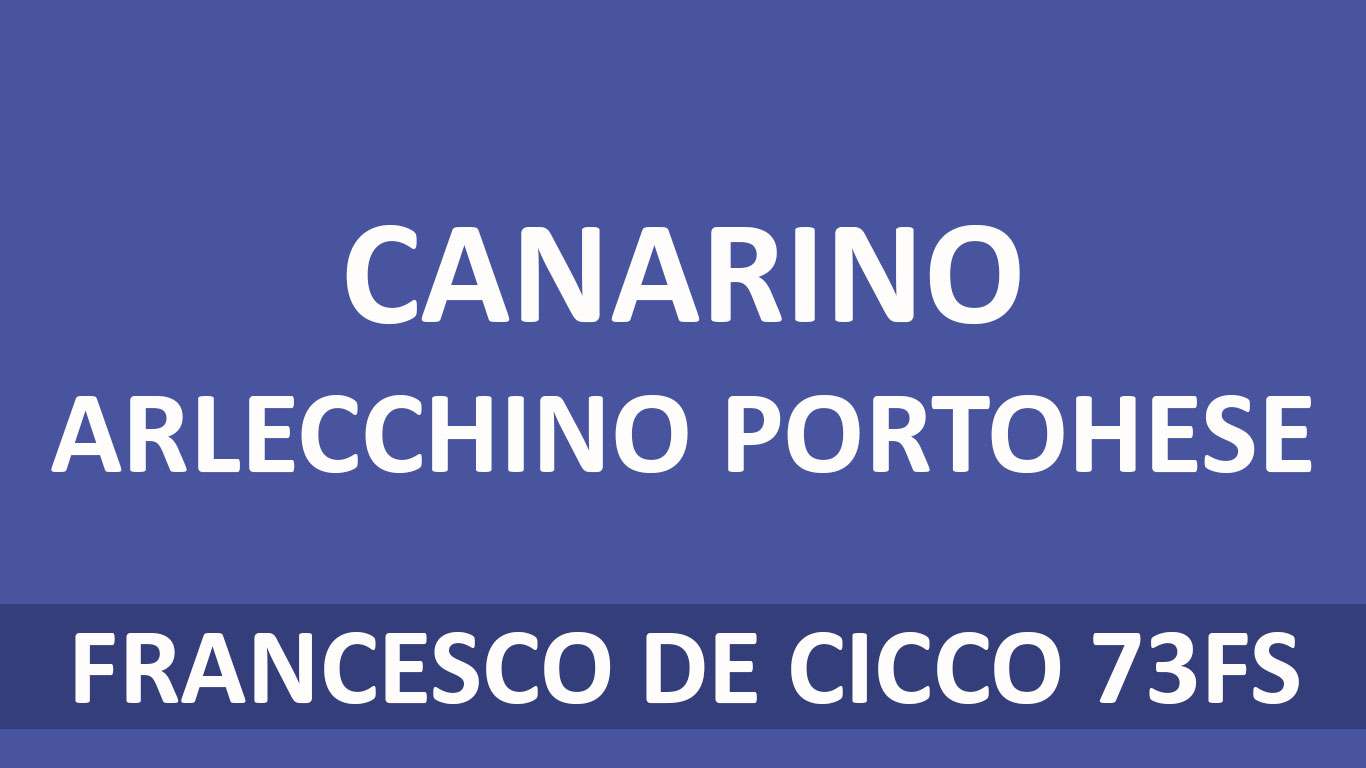 Allevamento del Canarino Arlecchino Portoghese