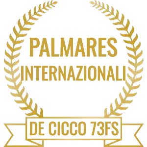 Icona Palmares Mostre Internazionali - Francesco De Cicco 73FS Icona Palmares Mostre Internazionali - Francesco De Cicco 73FS