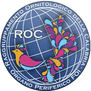 Logo R.O.C. "Raggruppamento Ornitologico Calabro" Logo R.O.C. "Raggruppamento Ornitologico Calabro"