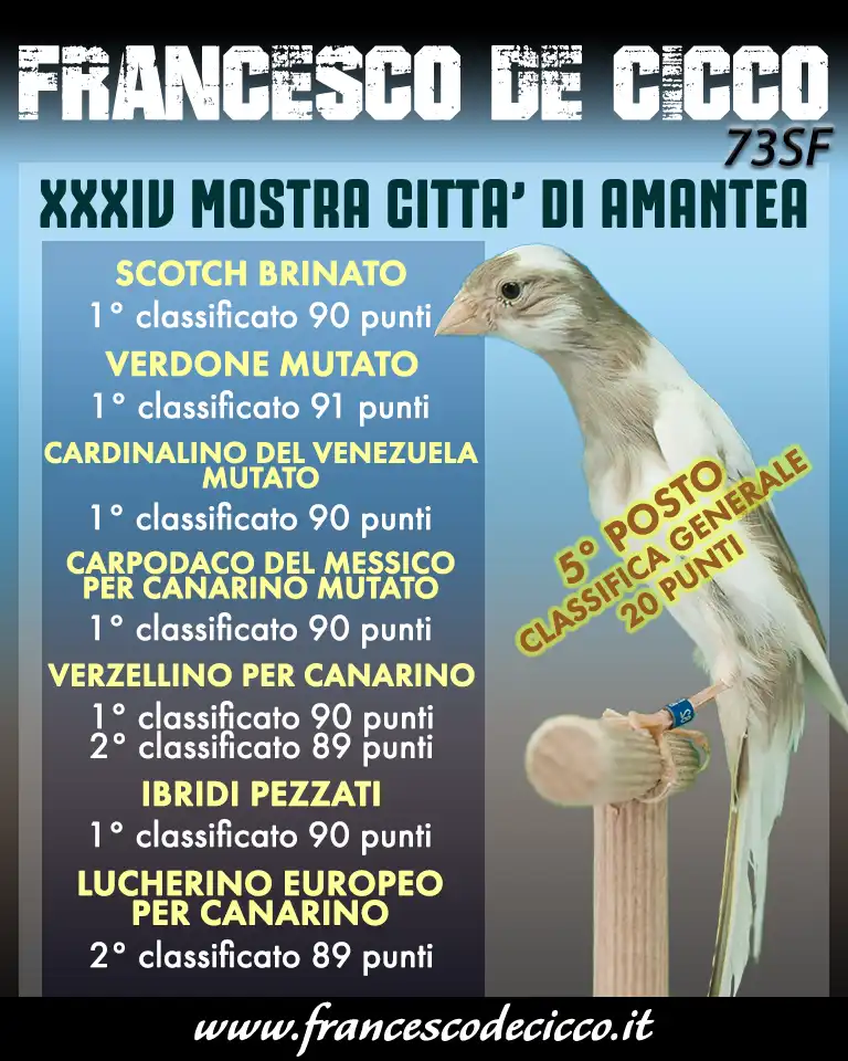 Risultati della Mostra Ornitologica Città di Amantea 2019 Risultati della Mostra Ornitologica Città di Amantea 2019