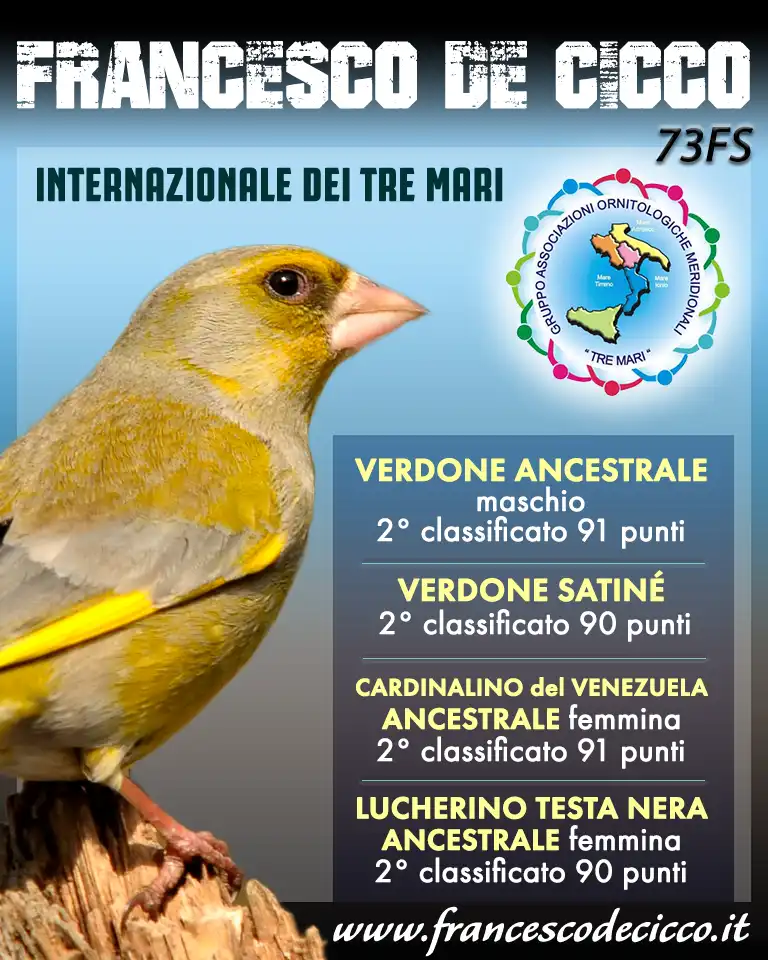 Risultati della Mostra Internazionale dei Tre Mari 2019 Risultati della Mostra Internazionale dei Tre Mari 2019