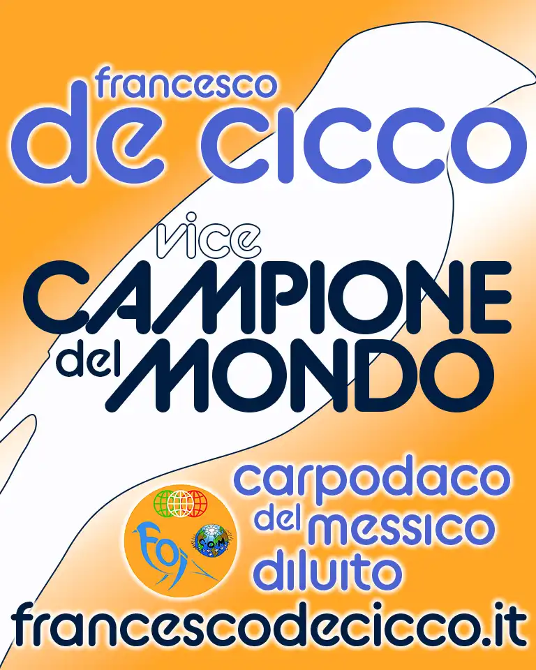Risultati del Campionato del Mondo 2022 Risultati del Campionato del Mondo 2022