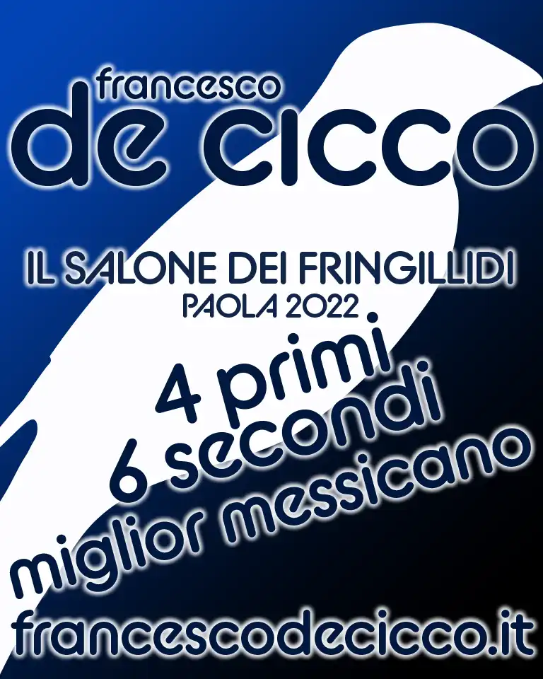 Risultati de Il Salone dei Fringillidi 2022 Risultati de Il Salone dei Fringillidi 2022