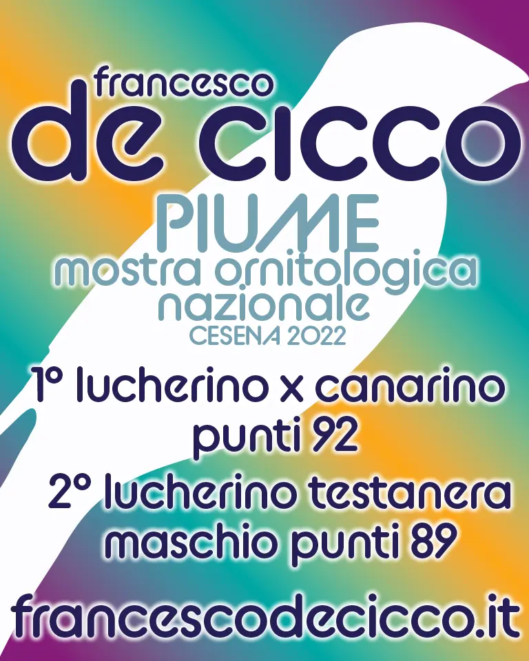 Risultati Mostra Ornitologica Nazionale Piume 2022 Risultati Mostra Ornitologica Nazionale Piume 2022