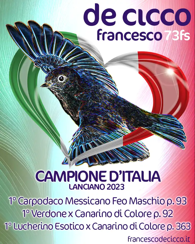 Risultati del Campionato Italiano 2023 Risultati del Campionato Italiano 2023