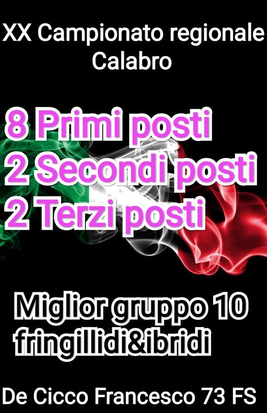 Risultati del Campionato Regionale Calabro 2023 Risultati del Campionato Regionale Calabro 2023