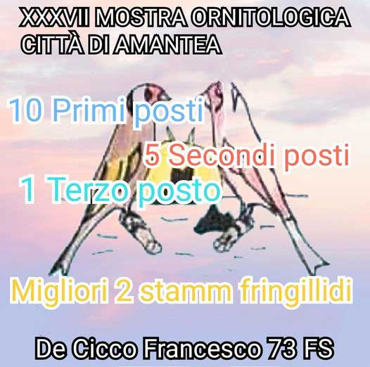 Risultati della Mostra Ornitologica Città di Amantea 2023 Risultati della Mostra Ornitologica Città di Amantea 2023