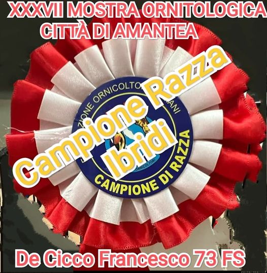Risultati della Mostra Ornitologica Città di Amantea 2023 - Campione Razza Risultati della Mostra Ornitologica Città di Amantea 2023 - Campione Razza