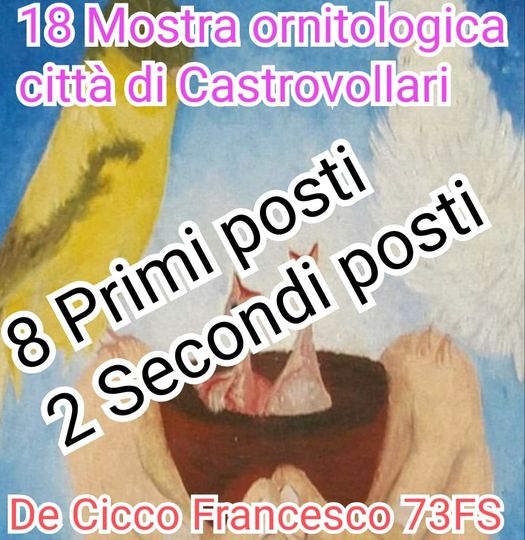 Risultati della Mostra Ornitologica Città di Castrovillari 2023 Risultati della Mostra Ornitologica Città di Castrovillari 2023