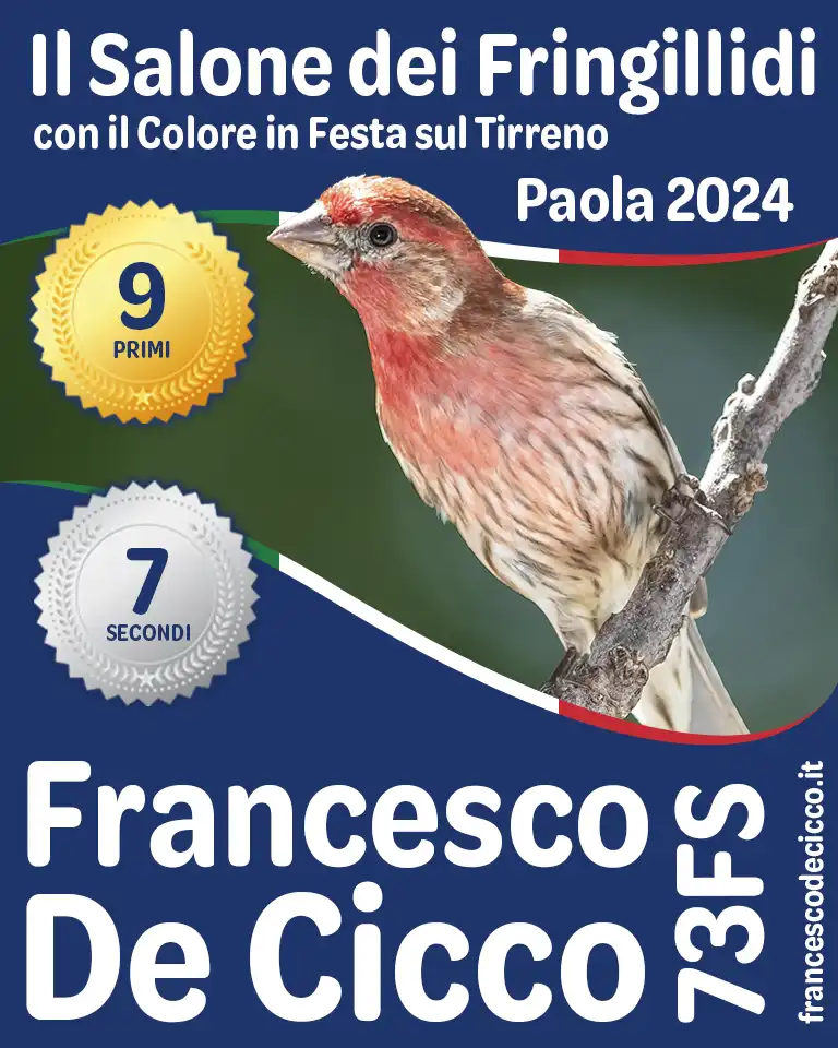 Risultati della Mostra Specialistica Il Salone dei Fringillidi 2024 Risultati della Mostra Specialistica Il Salone dei Fringillidi 2024