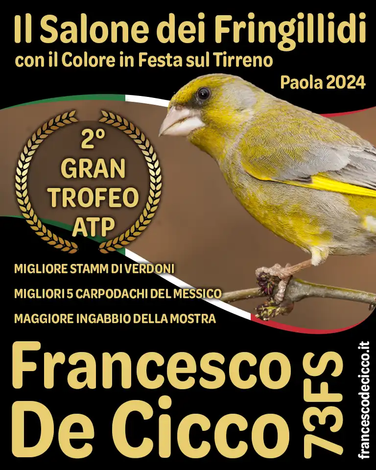Premiazione Speciale de Il Salone dei Fringillidi 2024 Premiazione Speciale de Il Salone dei Fringillidi 2024