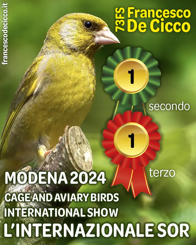 Risultati della Mostra Internazionale S.O.R. di Modena 2024 Risultati della Mostra Internazionale S.O.R. di Modena 2024